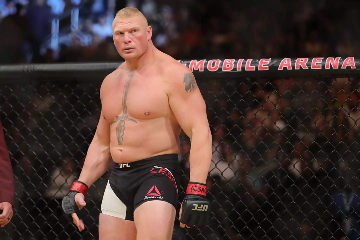 Brock Lesnar has asked to come on to Joe Rogan's podcast. (Image: Rey Del Rio/Getty Images)