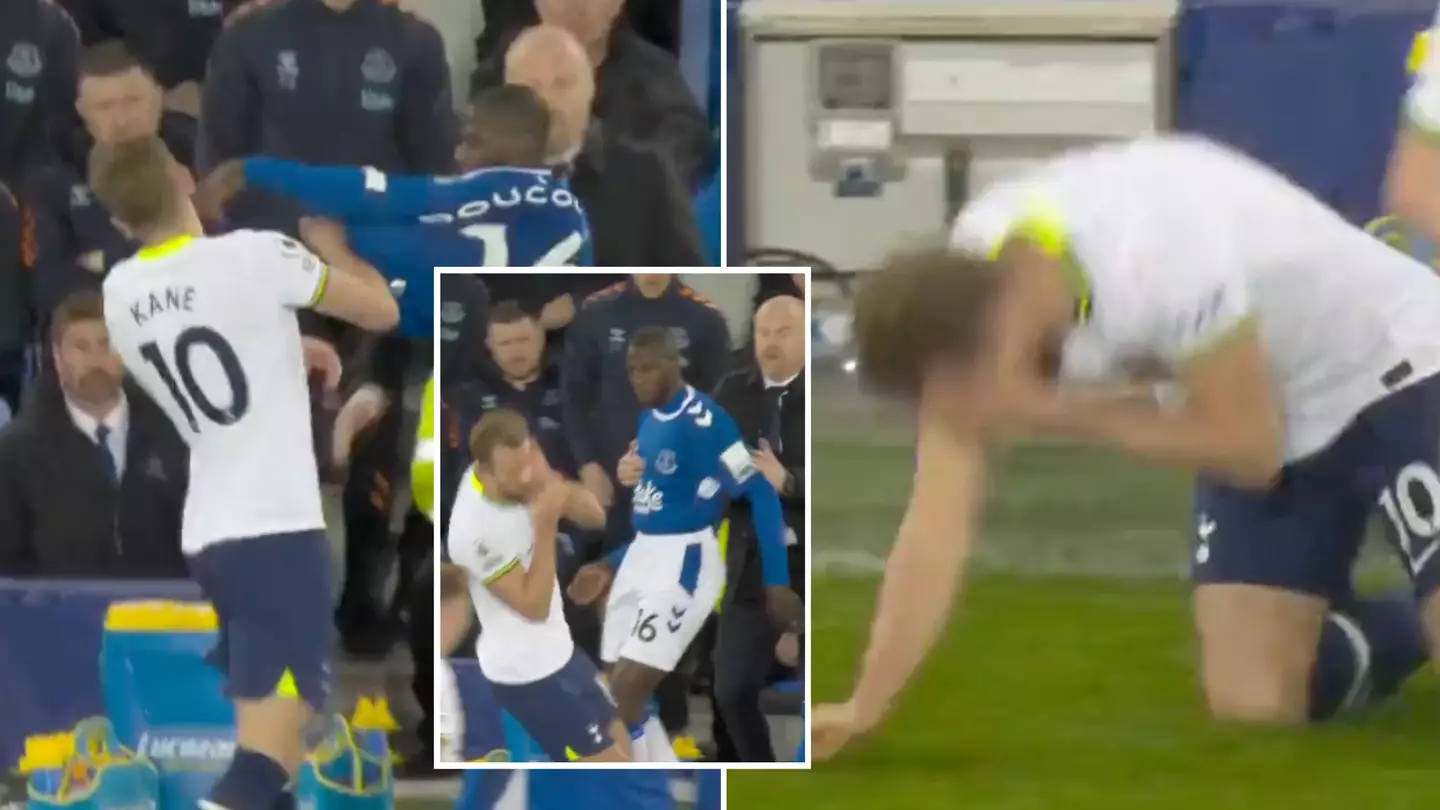 Harry Kane branded an 'embarrassment' and told he 'deserves an Oscar' after Abdoulaye Doucoure red card