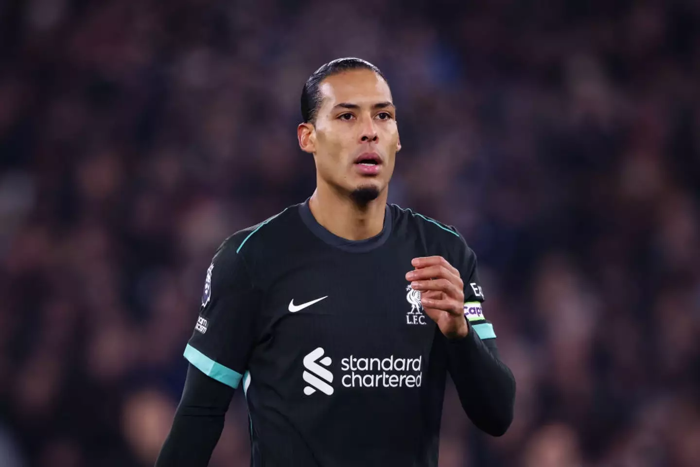 Virgil van Dijk has impressed this season (Credit:Getty)