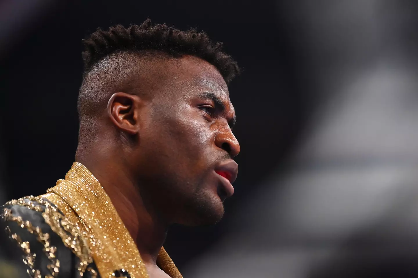 Ngannou came close to toppling Fury in a 'Battle of the Baddest'. (Image