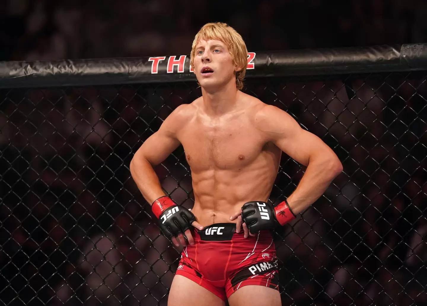 Paddy Pimblett in action for the UFC. Image: Alamy