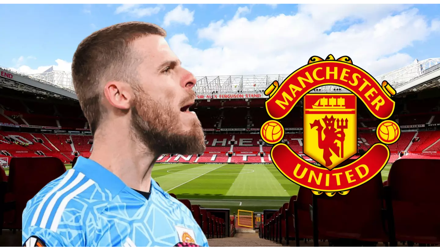 Man Utd left with no alternative to David de Gea deal after damning goalkeeper shortlist emerges