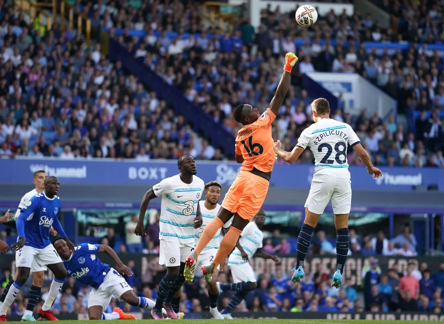 Edouard Mendy in action for Chelsea against Everton. (Alamy)