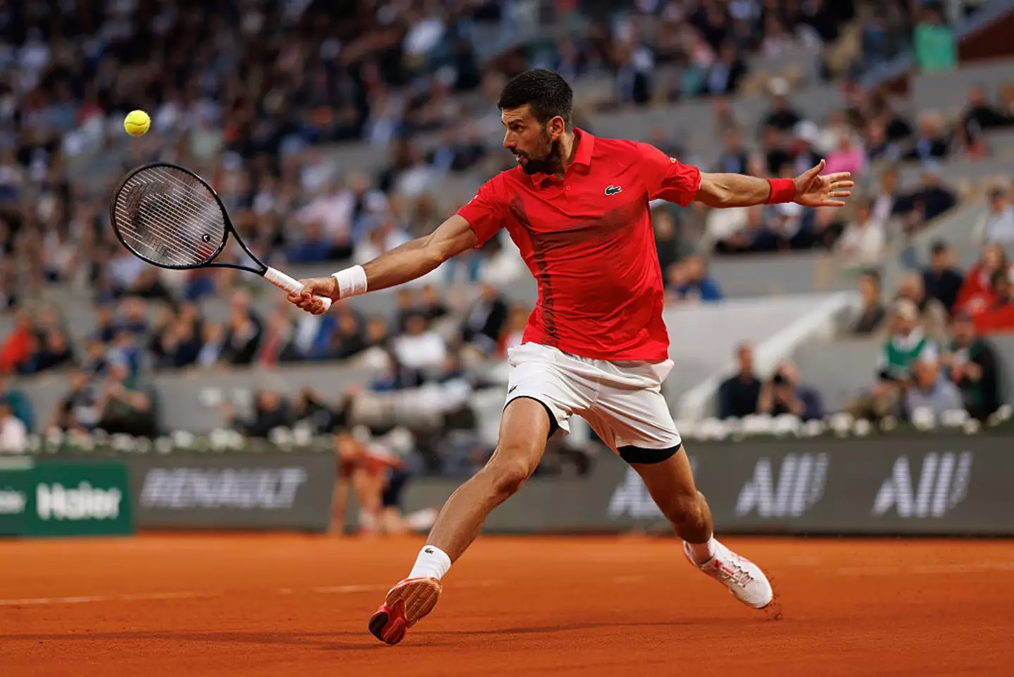 Novak Djokovic was beaten by Jannik Sinner (Credit:Getty)