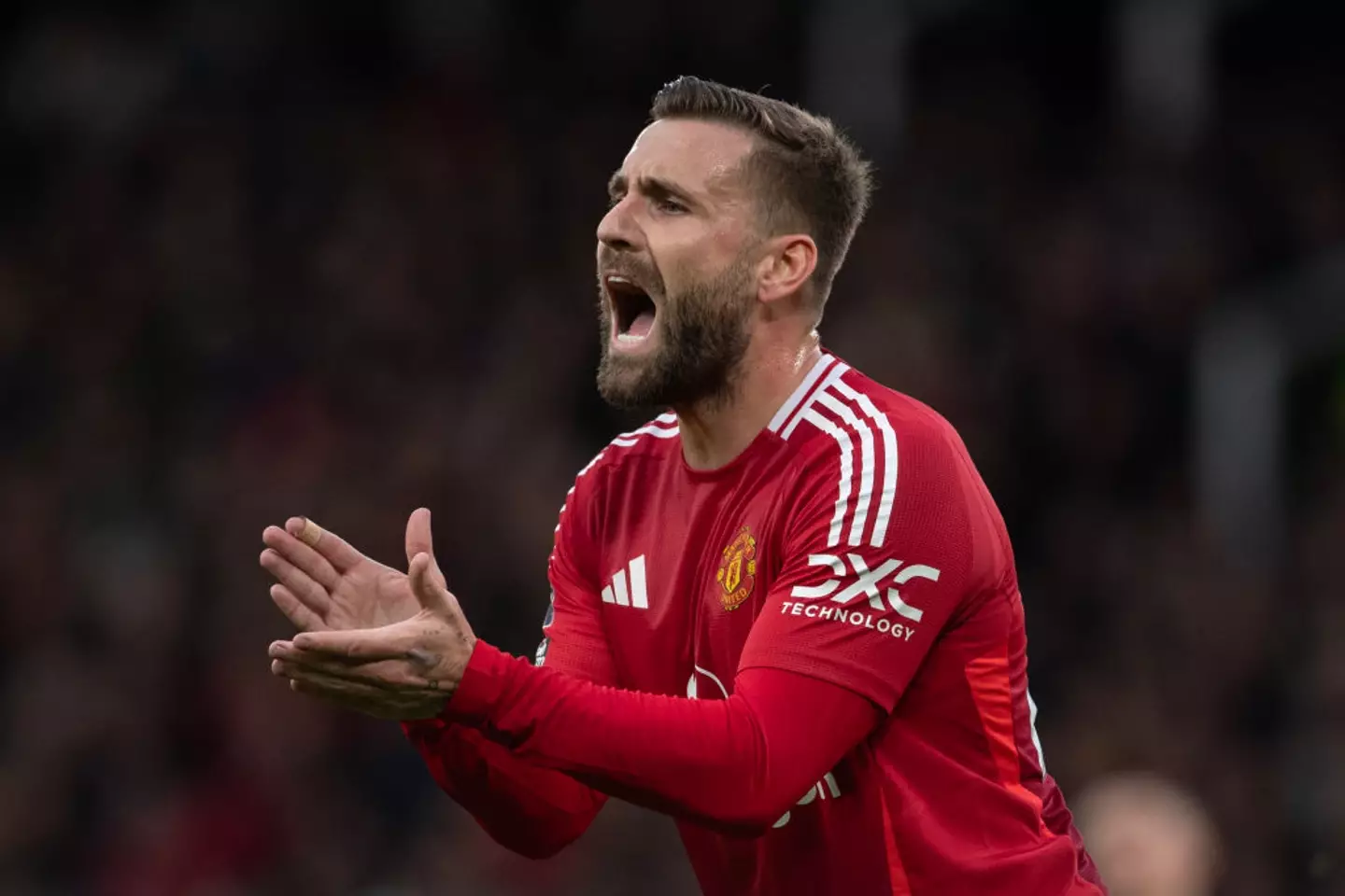 Shaw has made just three appearances for United this season (Image: Getty)