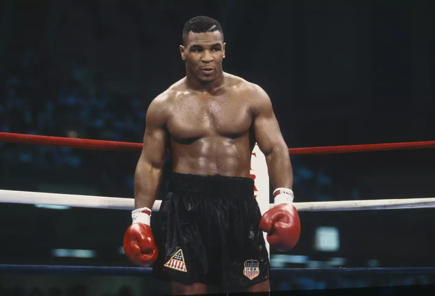 Tyson is one of the greatest boxers in history (Getty)