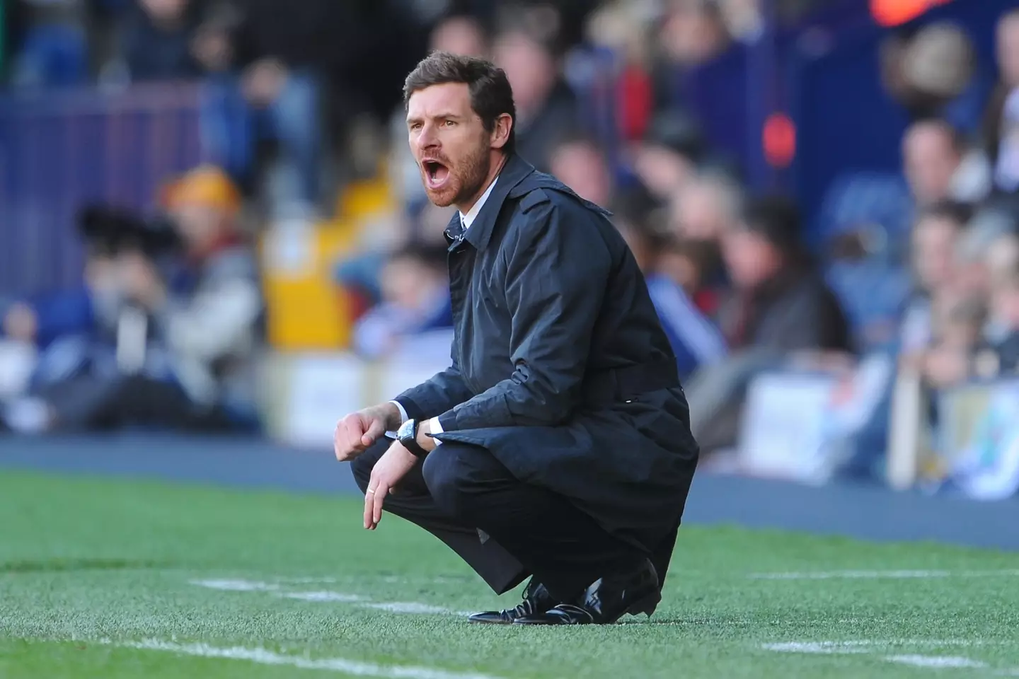 Andre Villas-Boas as Chelsea manager. (Alamy)