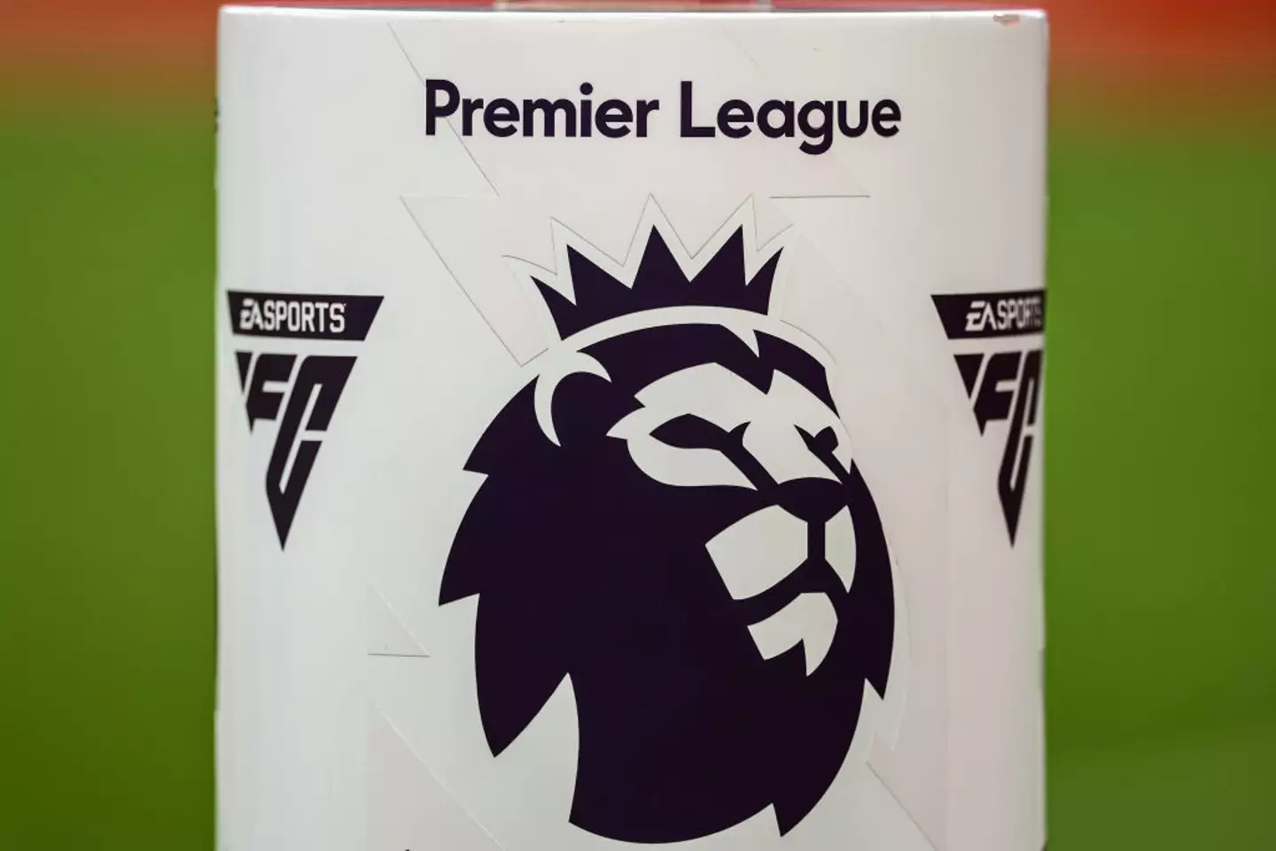 The Premier League took part in the prosecution (Image: Getty)