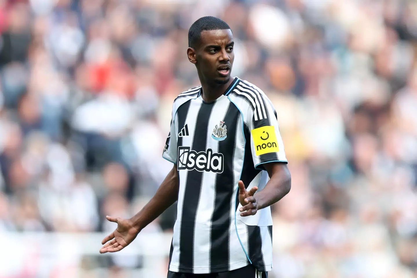 Alexander Isak for Newcastle (credit: getty)