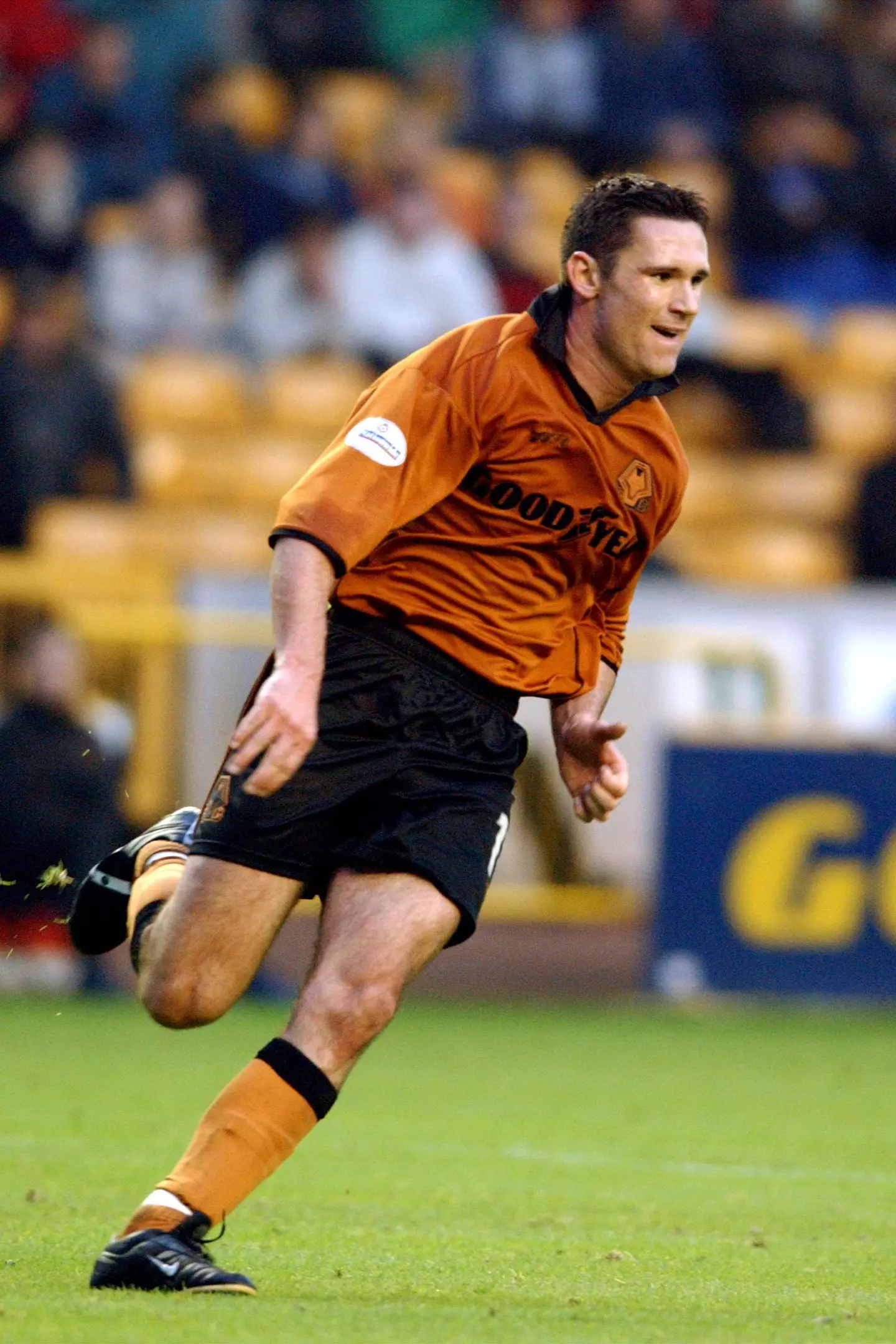 Cedric Roussel represented Wolves in Division One from 2001-2002.