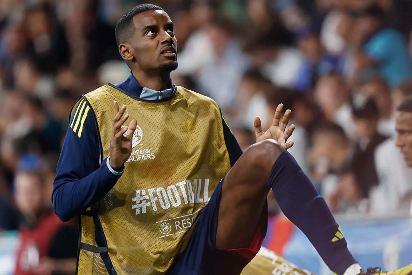 Alexander Isak came off the bench vs Kosovo (Image: Getty)