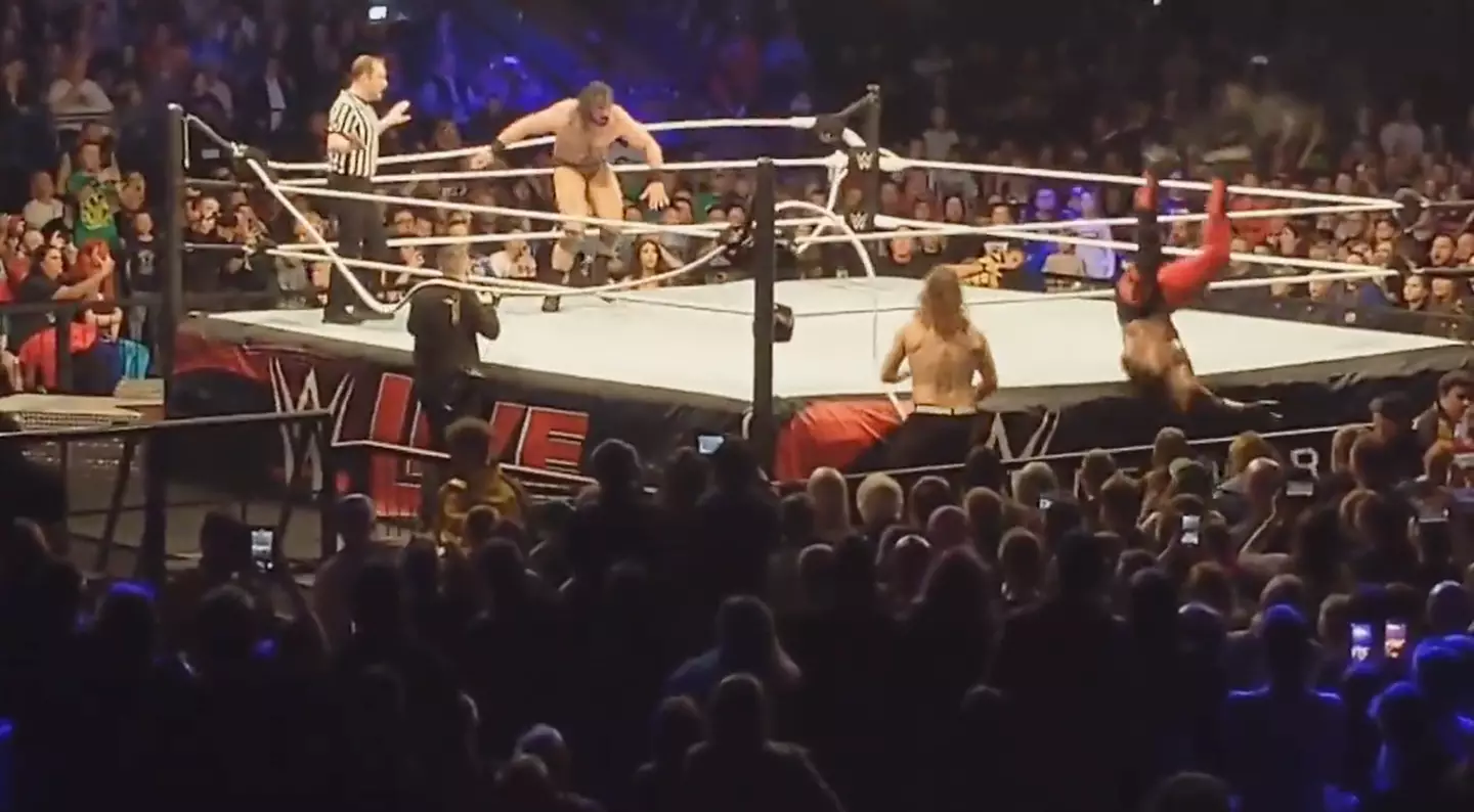 Image credit: Louie Von Der Geest/Twitter