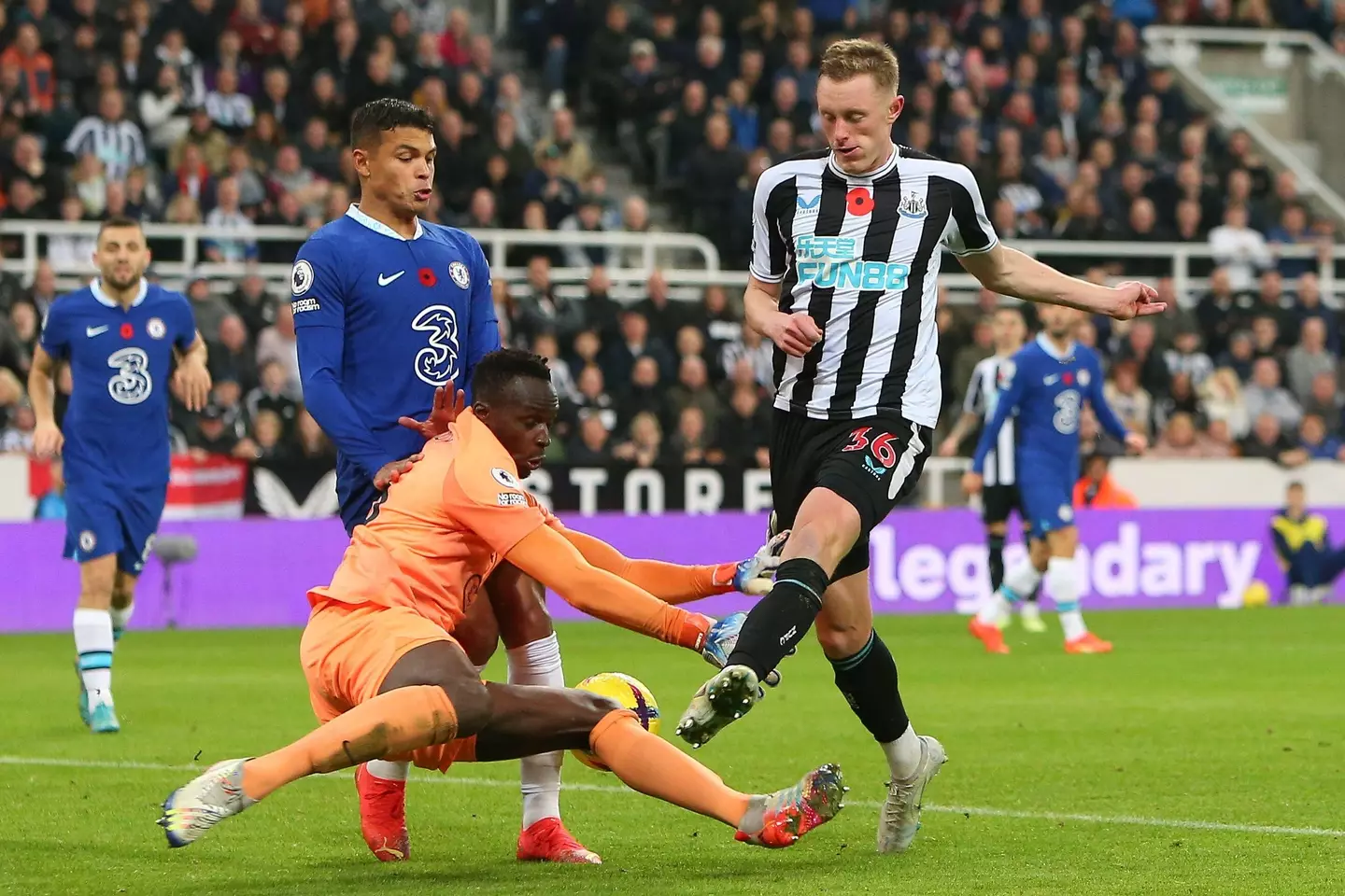 Edouard Mendy denies Sean Longstaff. (Alamy)