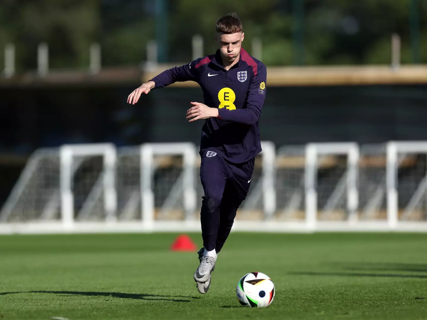 Palmer was named in England's provisional 33-man squad (Getty)