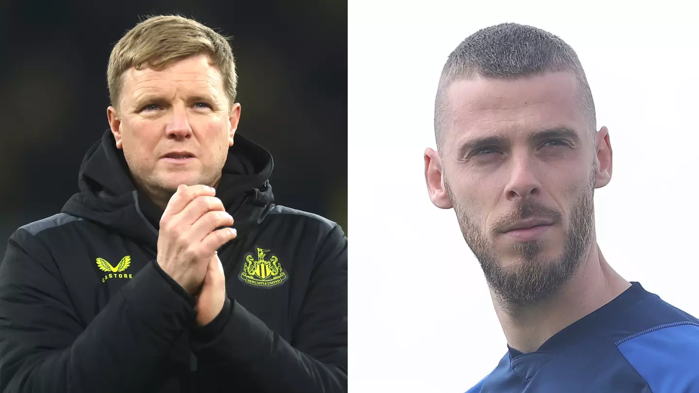 Premier League board could block Newcastle from signing David de Gea this month due to strict rule