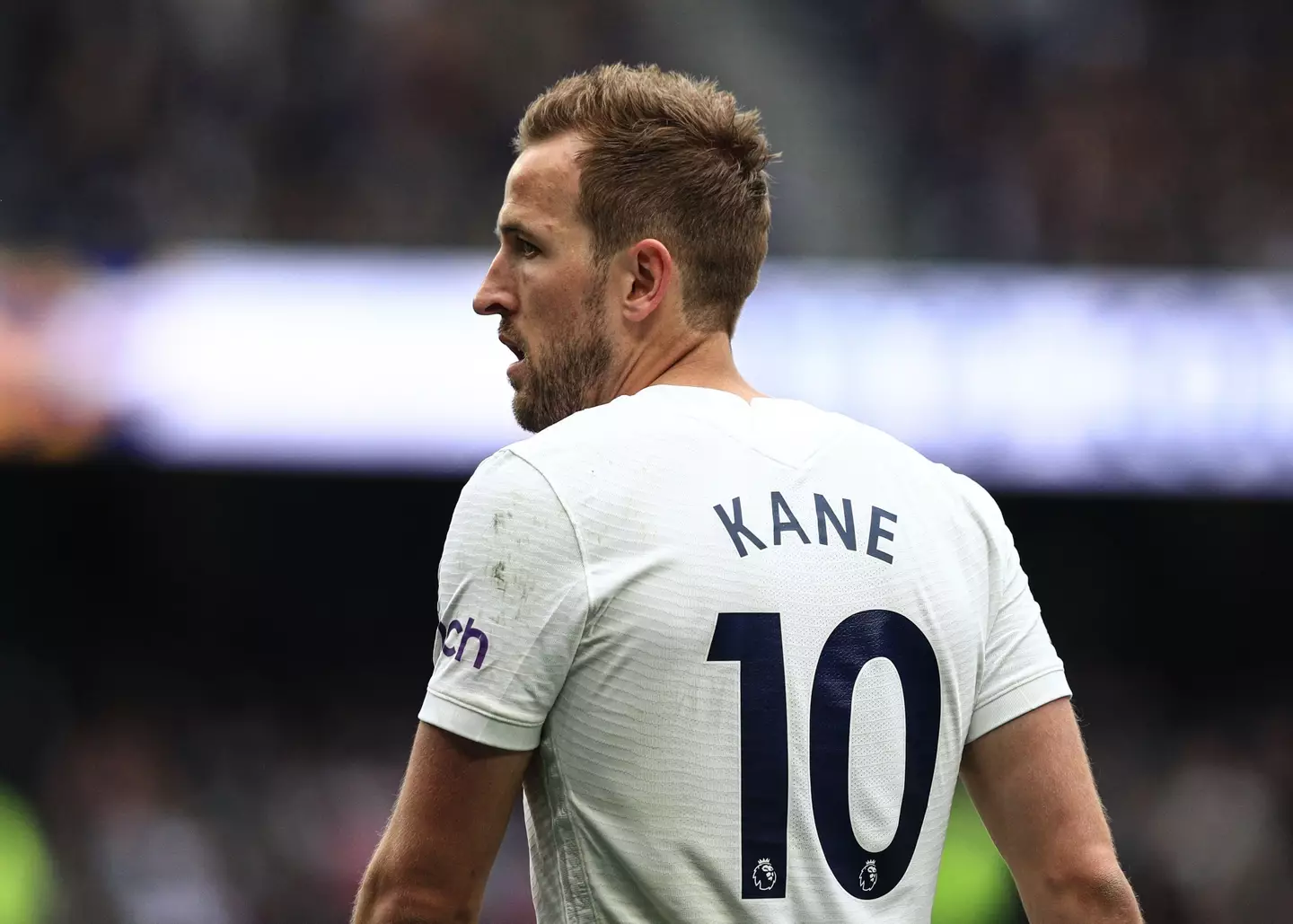 Kane would surely make most people's teams. Image: PA Images