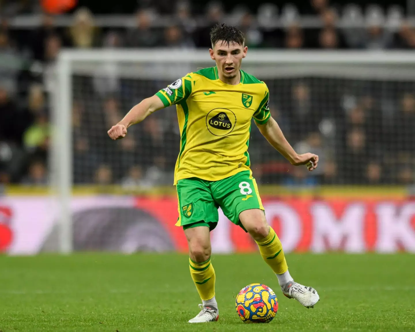 Billy Gilmour was on loan at Norwich City last season. (Alamy)