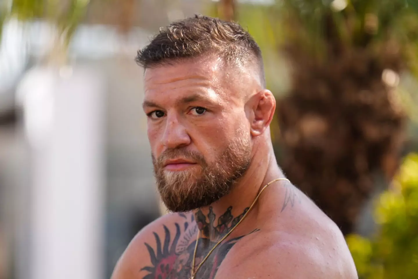 Conor McGregor could fight Logan Paul (Credit:Getty)