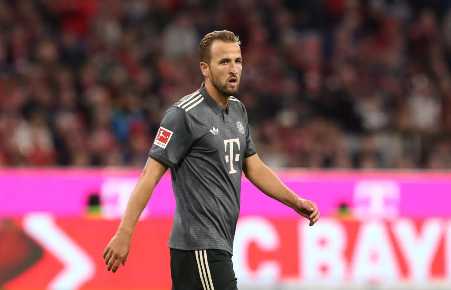Bayern Munich star Harry Kane pictured -