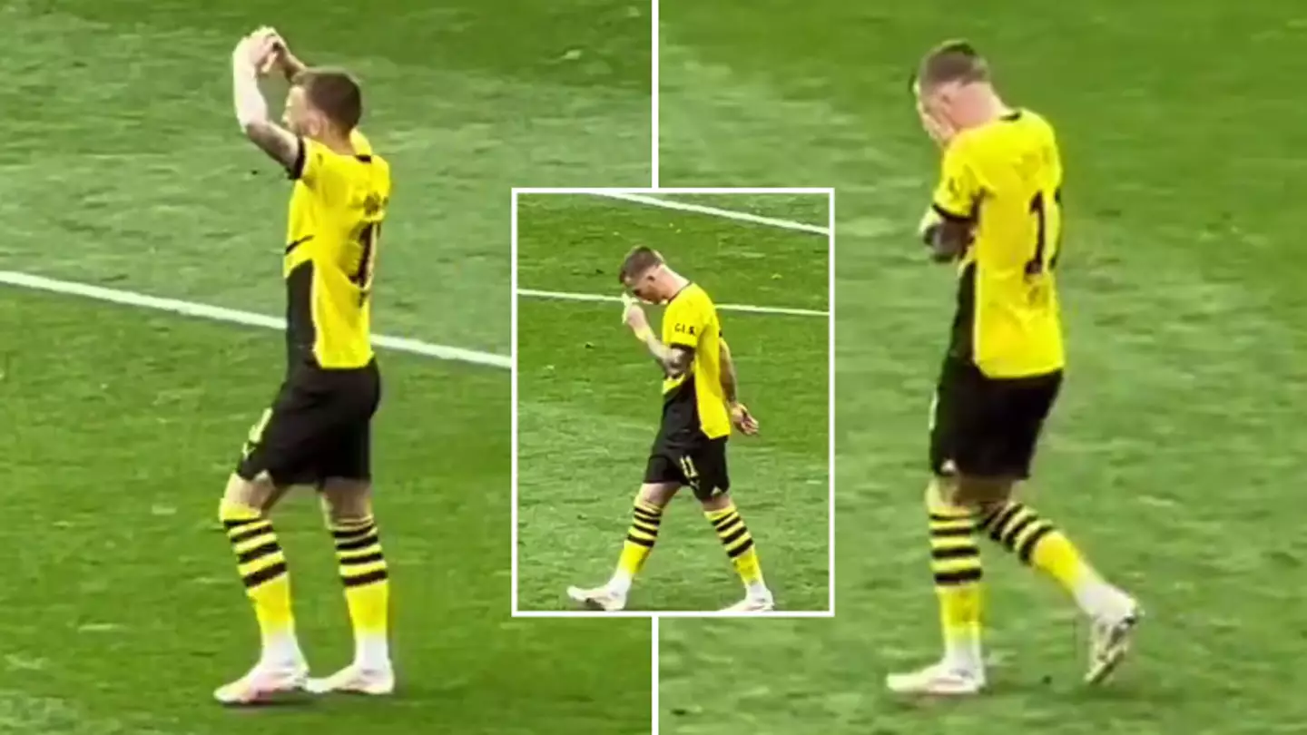 Marco Reus was overcome with emotion after scoring in front of the Borussia Dortmund fans