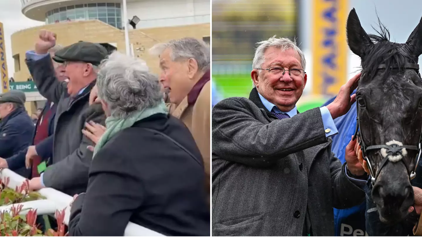 Sir Alex Ferguson pockets extraordinary amount after successive race wins at Cheltenham Festival