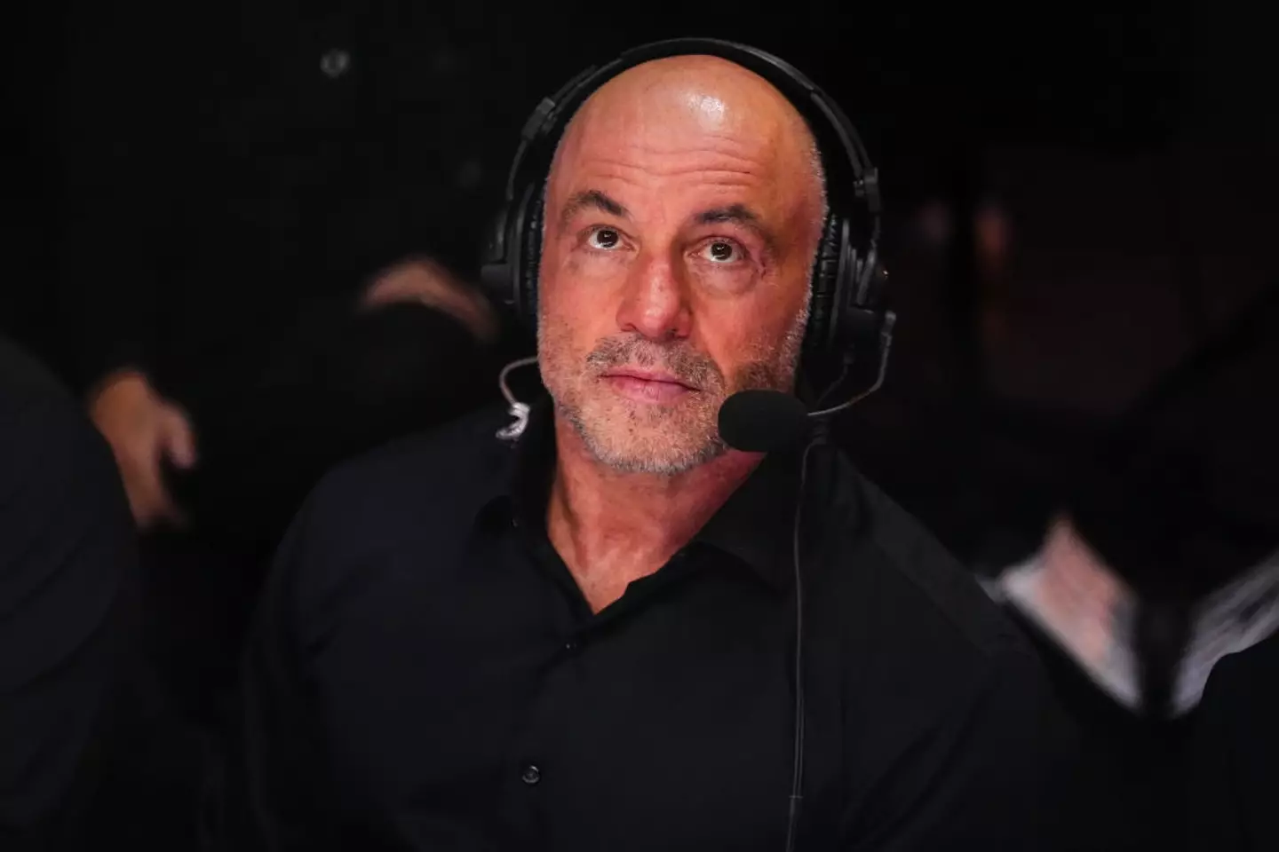 The Joe Rogan Experience is one of the most popular podcasts in the world. (Image: Jeff Bottari/Zuffa LLC)