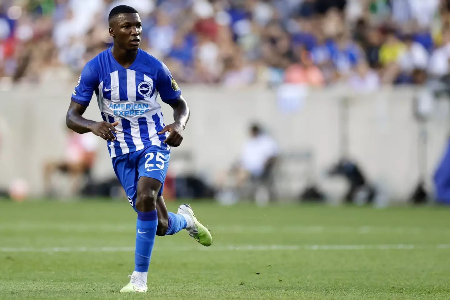 Moises Caicedo in action for Brighton. Image: Getty