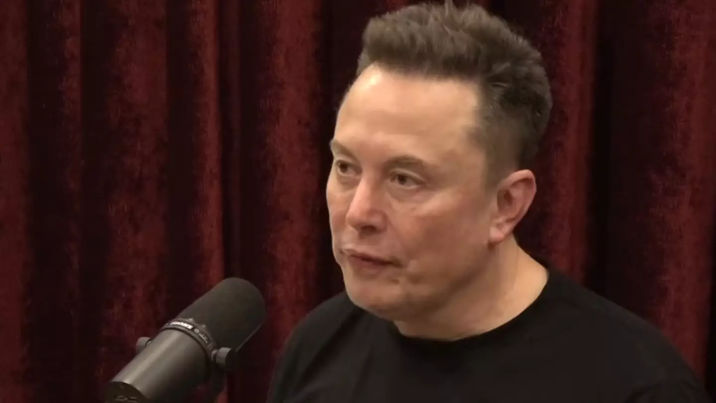 Elon Musk Claims 'Straight, White Men' Could Be Executed By AI On Joe Rogan Podcast