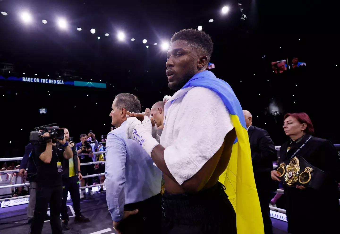 Joshua lost his world titles to Usyk and failed to win them back in the rematch. Image: Alamy