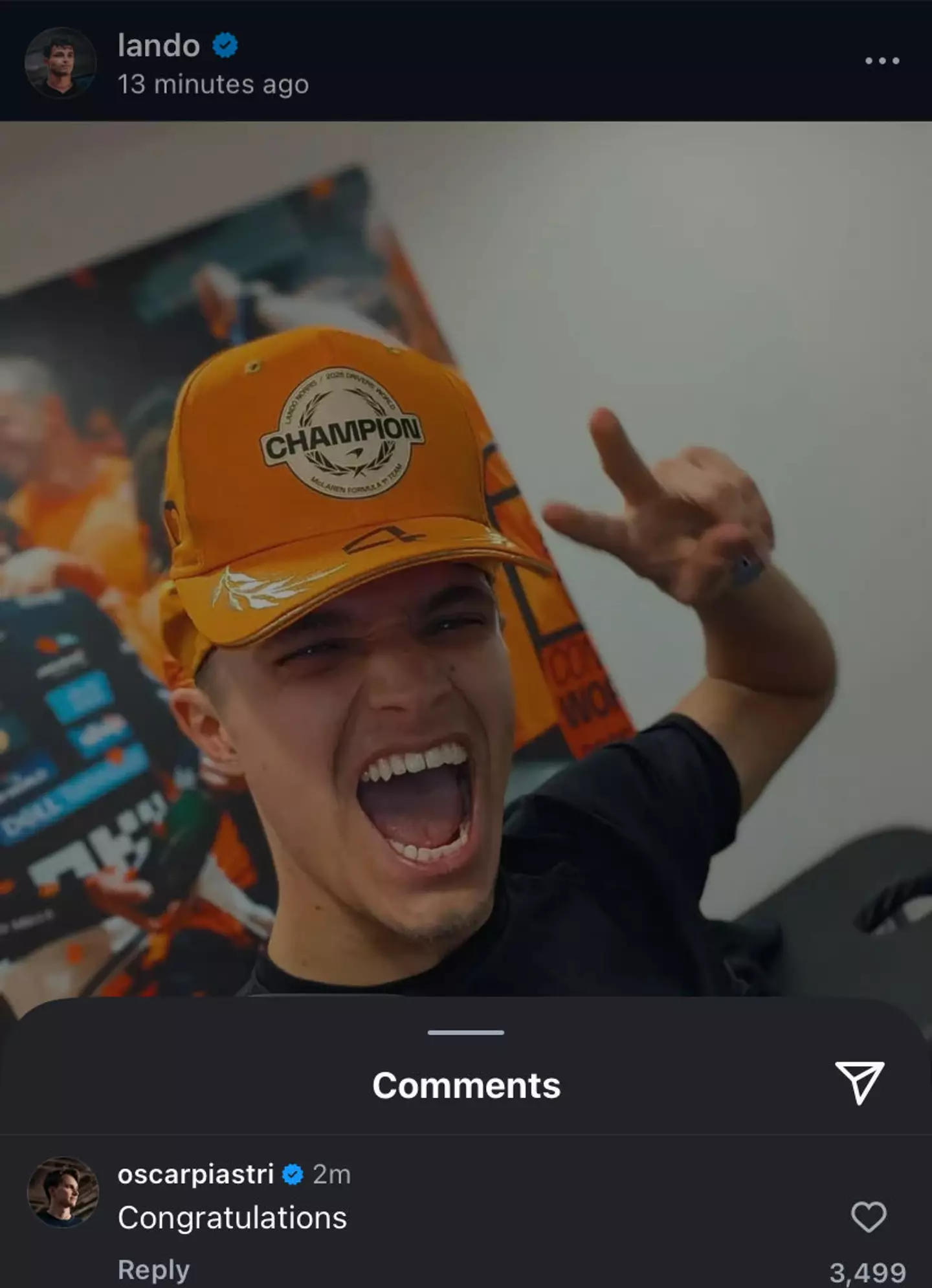 Oscar Piastri left a one-word comment on Lando Norris' social media post celebrating his F1 world title. Image: Instagram