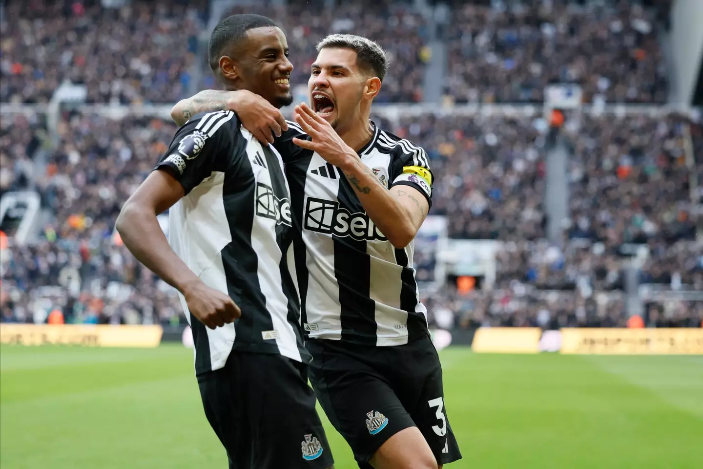 Alexander Isak and Bruno Guimaraes have been linked with a move to Arsenal. Image: Getty