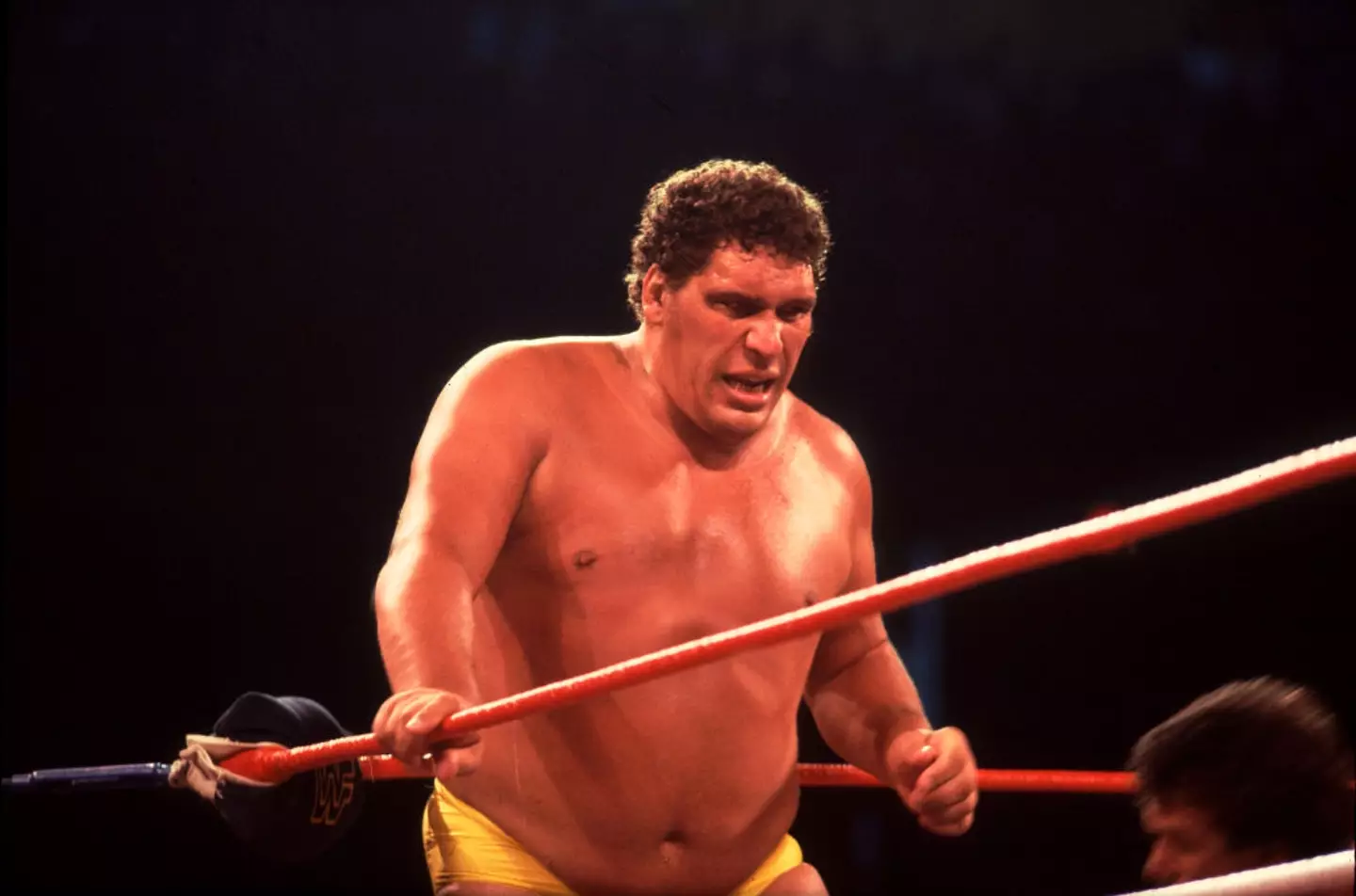 Andre "The Giant" was a French wrestler (Credit:Getty)