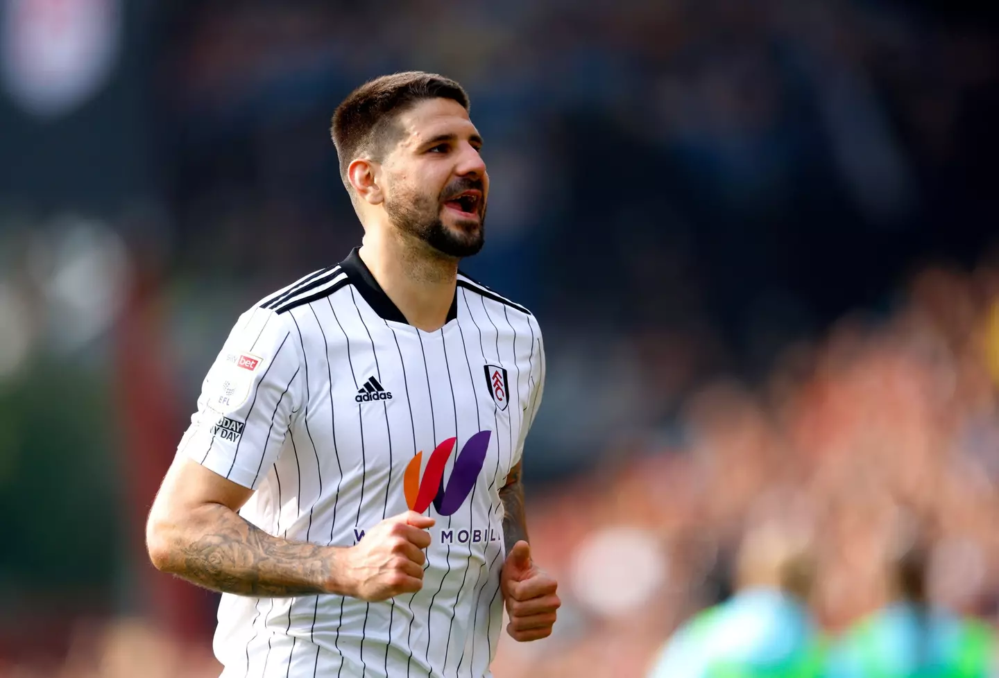 Mitrovic scored 43 Championship goals last season