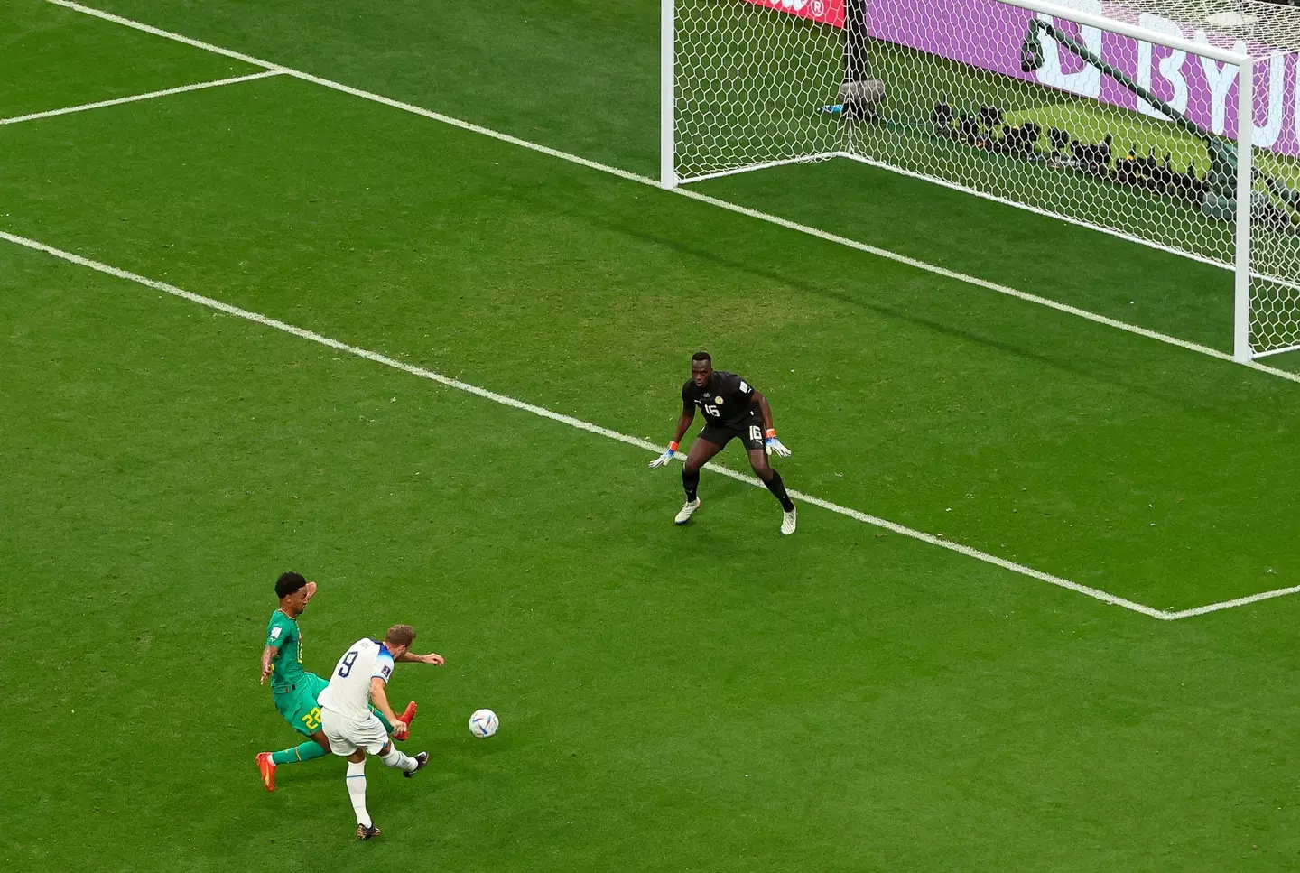 Harry Kane netted his first goal of the tournament (Shutterstock)