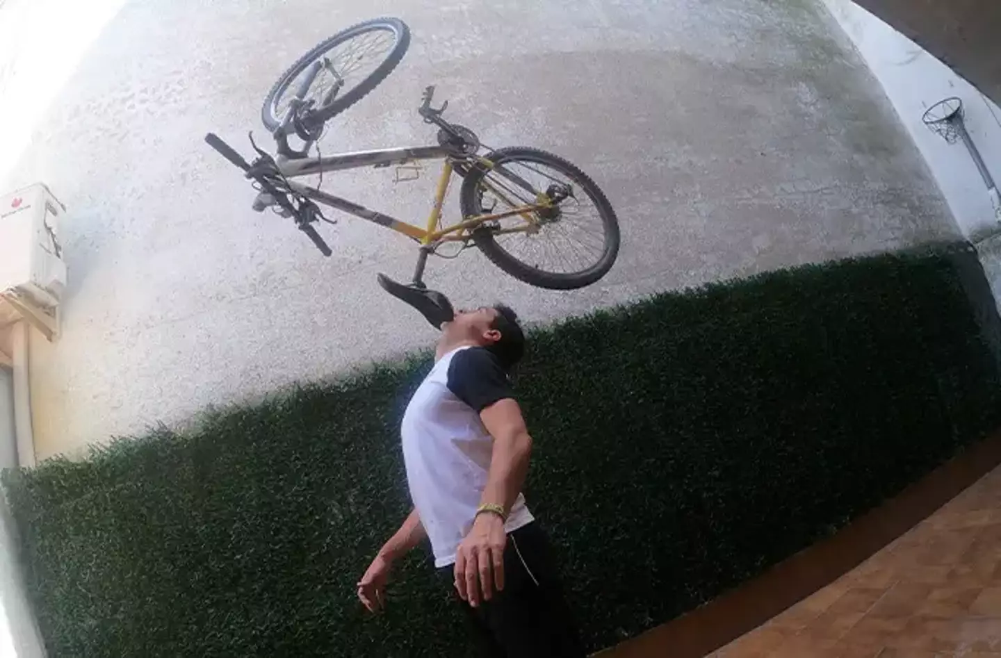 Image: Guinness World Record