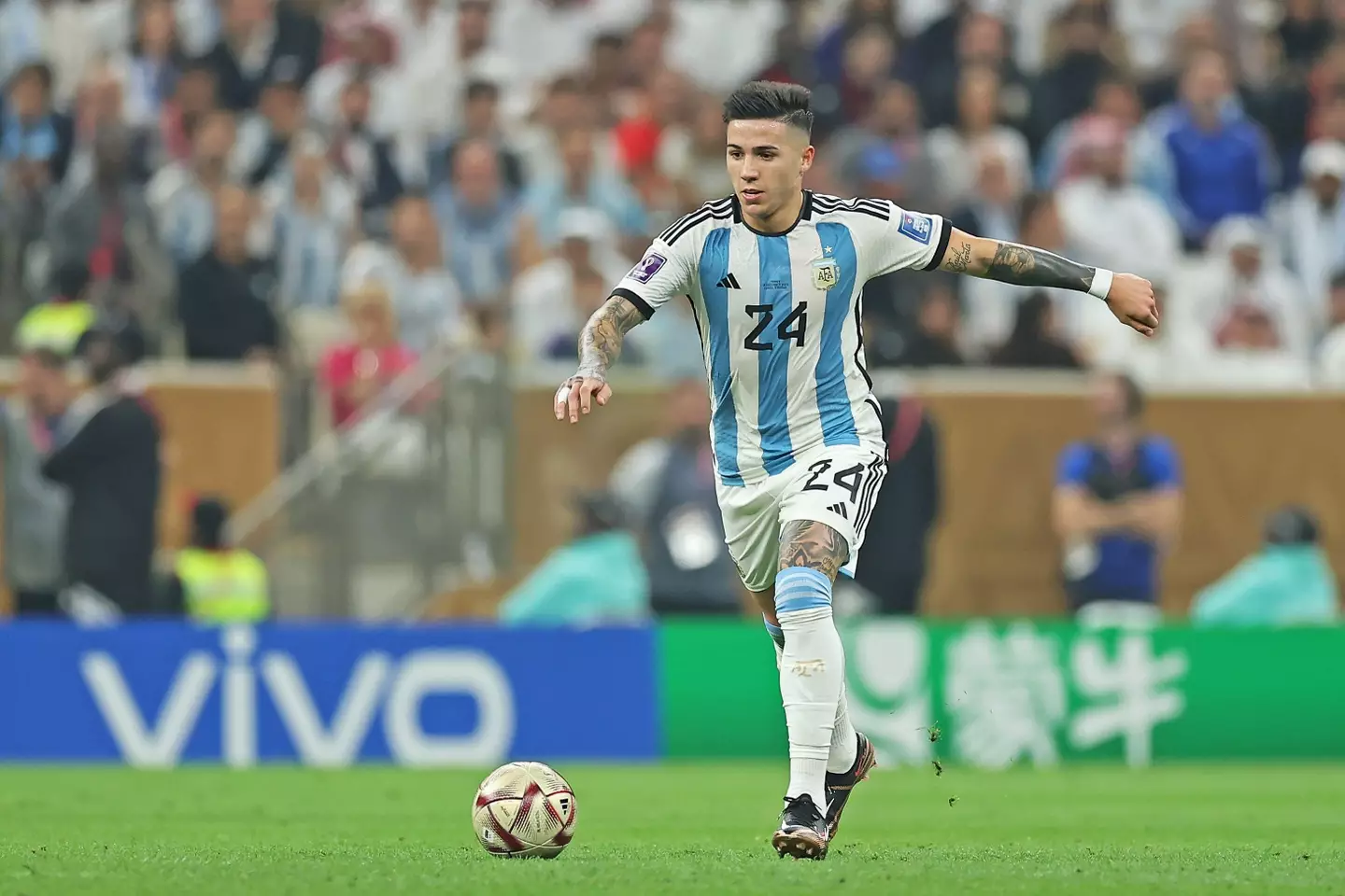 Enzo Fernandez in action for Argentina. Image: Alamy 