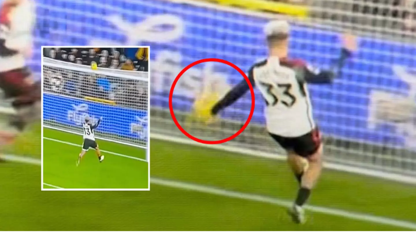 Fans left baffled at VAR explanation for why Everton were not given penalty vs Fulham