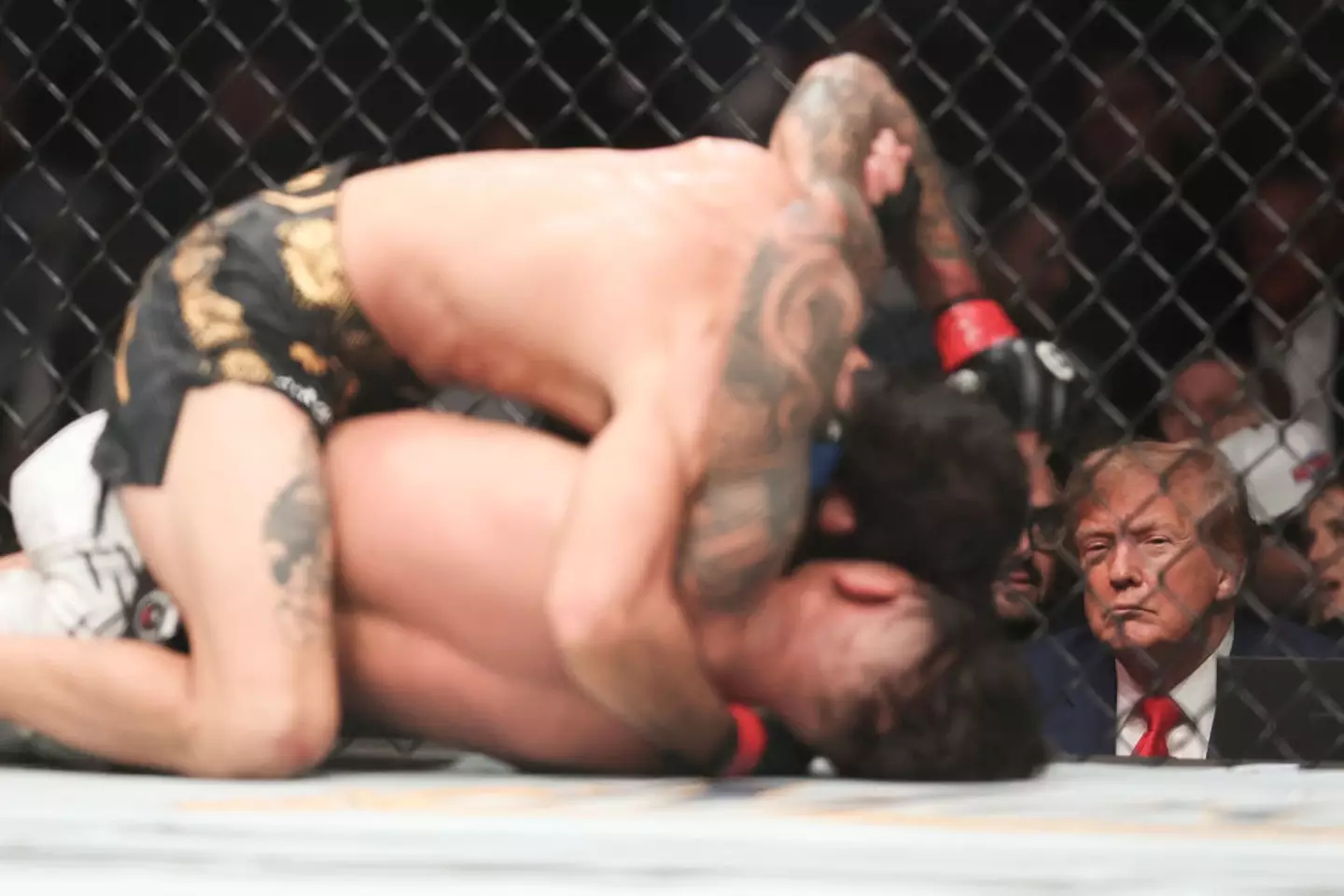 Donald Trump is often seen cageside at UFC events in the USA. (Image: Getty)