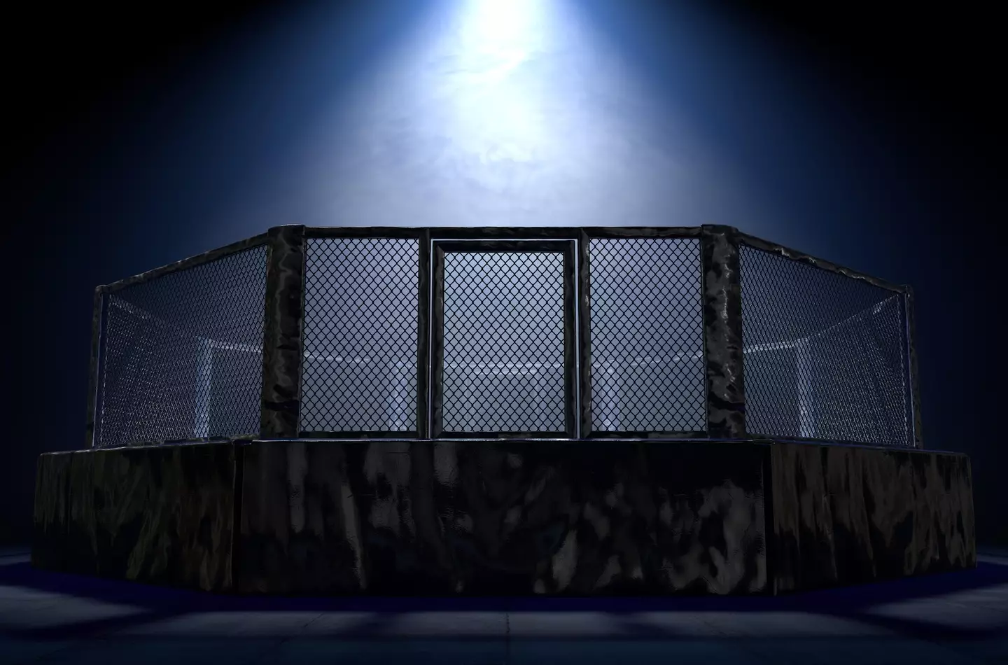 The fighters took to the cage blindfolded. Image