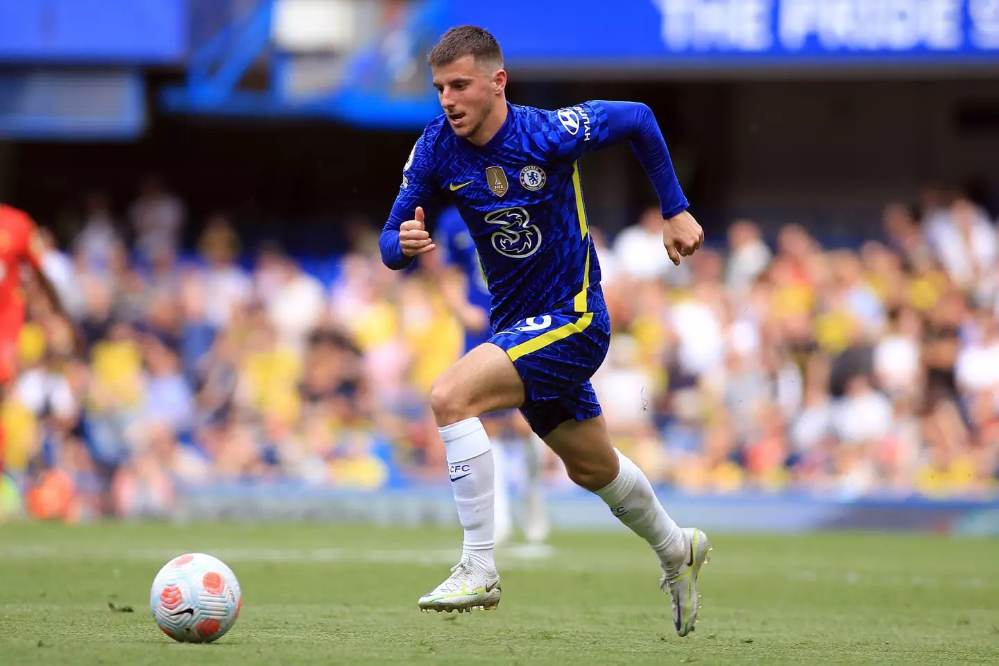 Andrew Orchard sports photography / Alamy