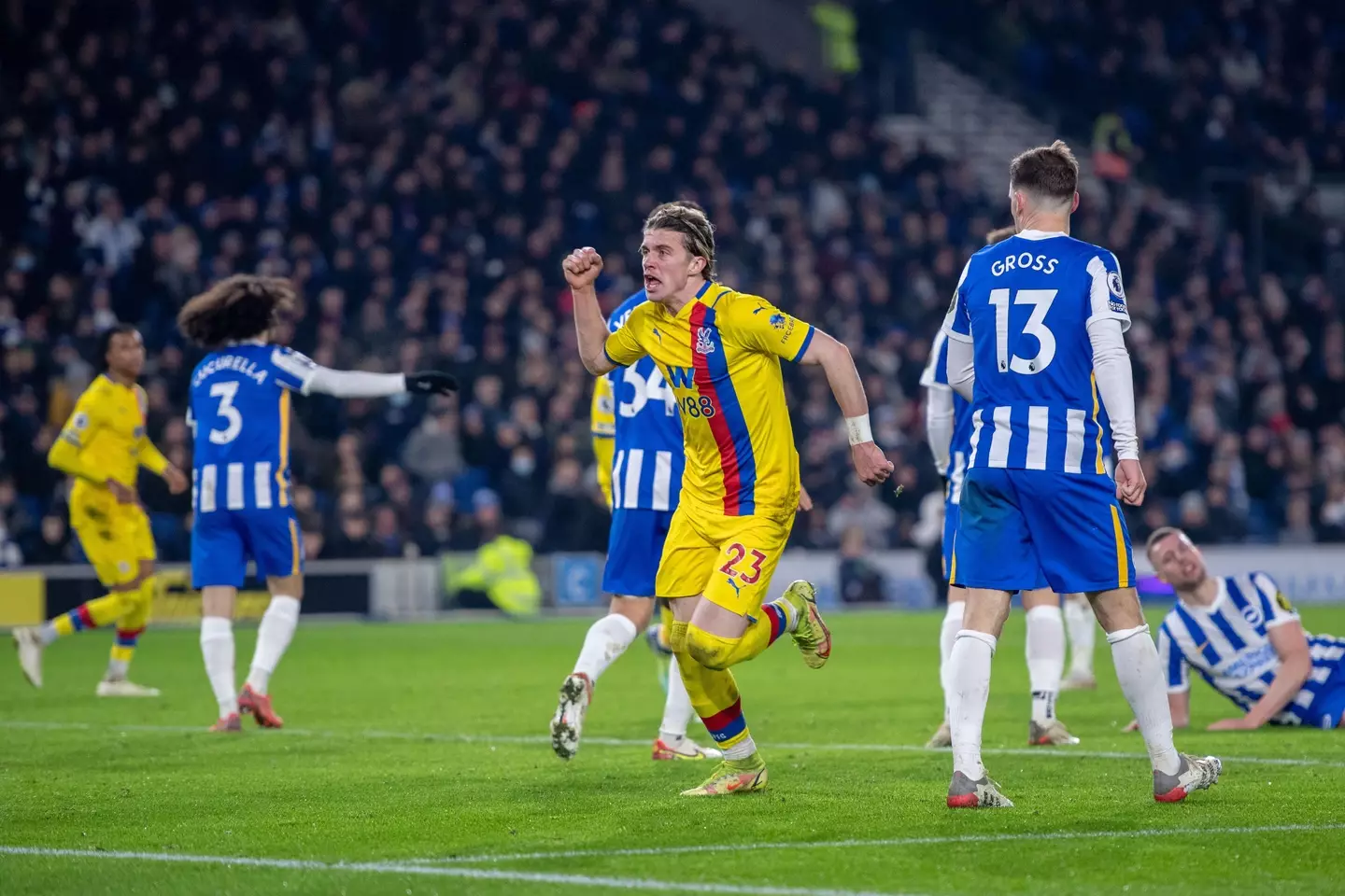 Palace and Brighton's game is already postponed. Image: Alamy