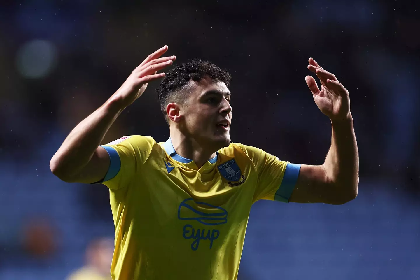 Sheffield Wednesday's Bailey Cadamarteri. (