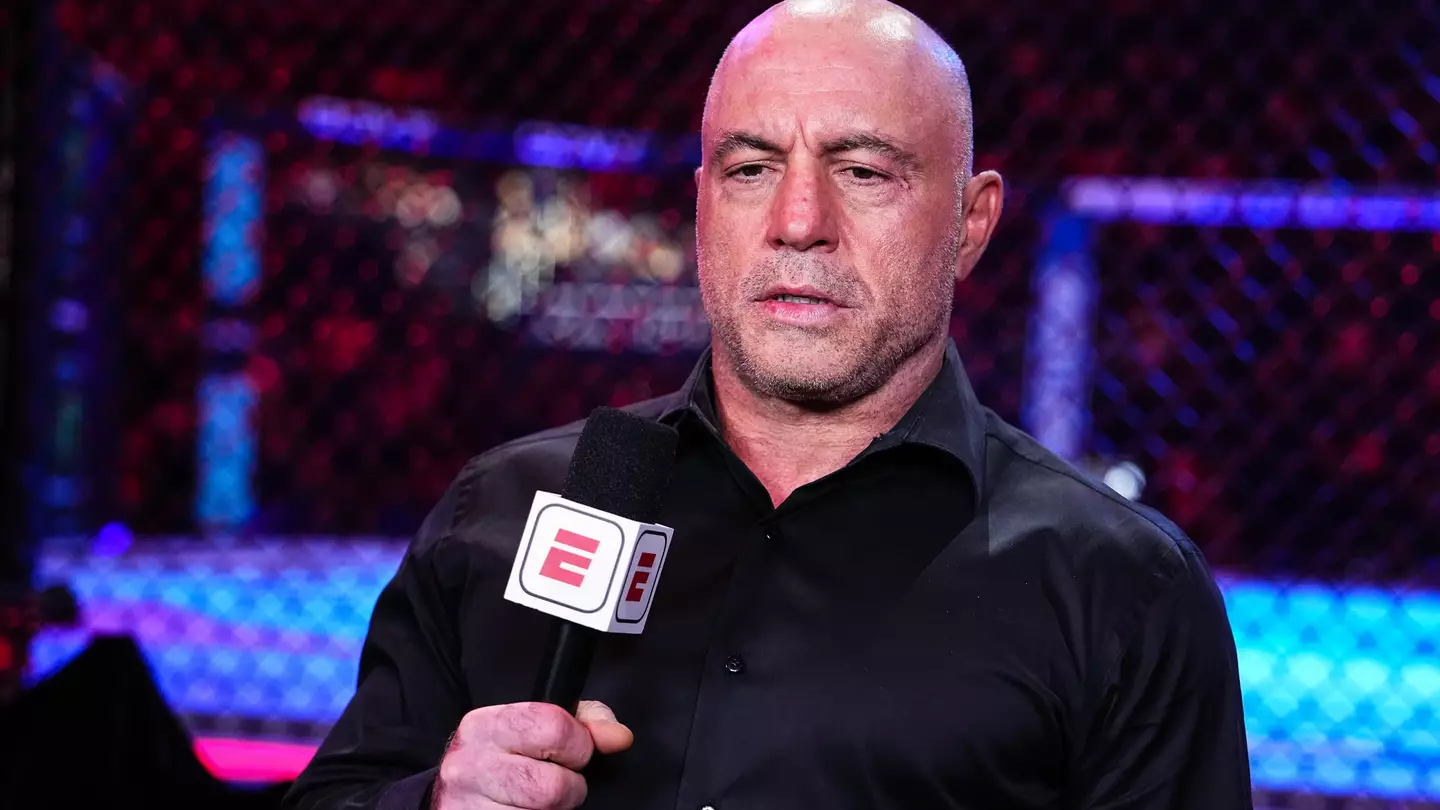 Photo by Jeff Bottari/Zuffa LLC