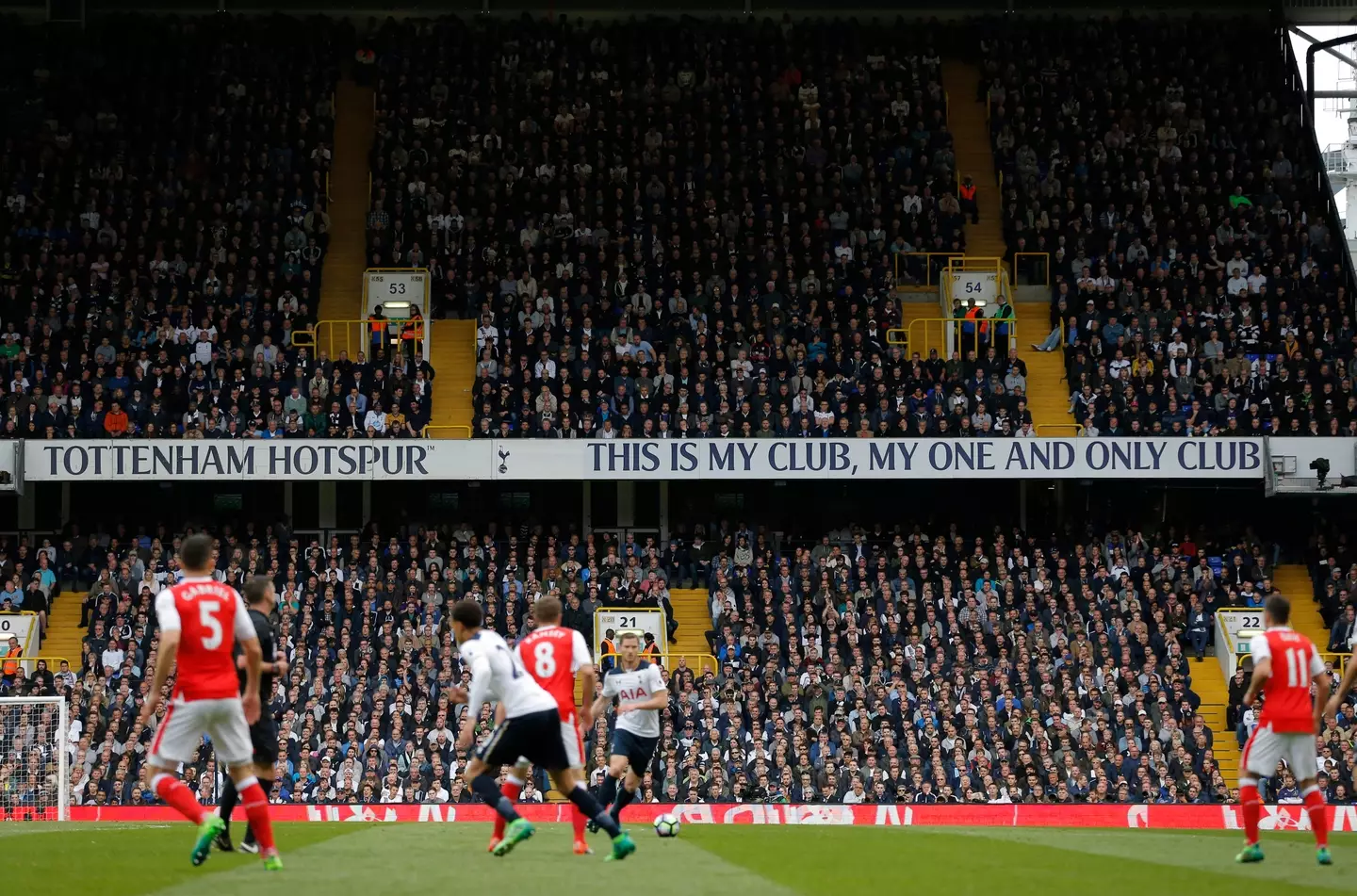 Portinari woke up in a cubicle at White Hart Lane. Image: Getty