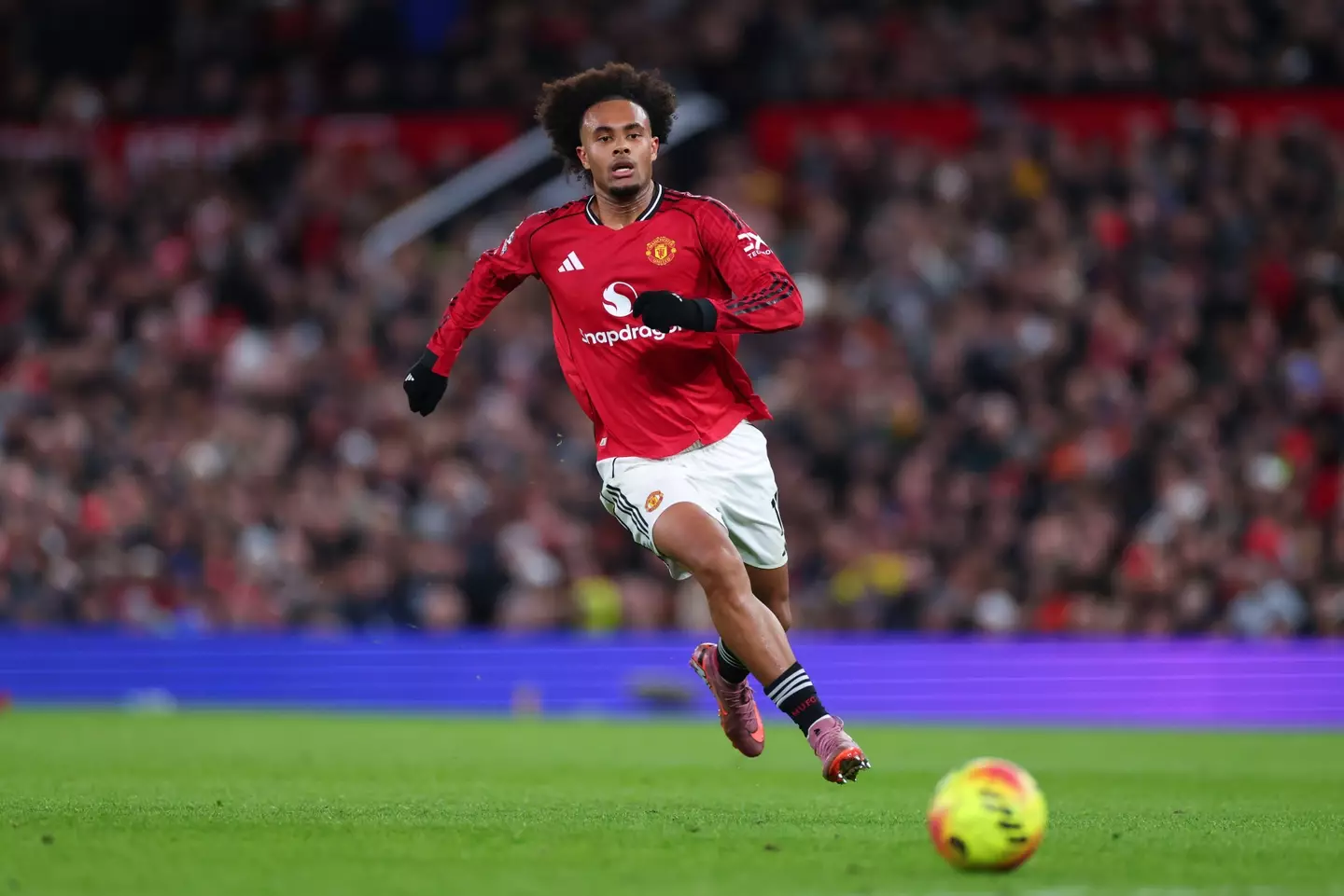 Joshua Zirkzee in action against Everton. Image: Getty