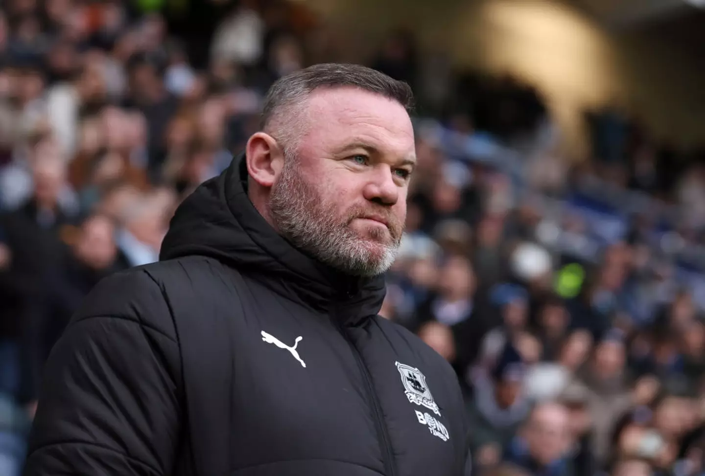 Wayne Rooney has displayed a fine head of hair throughout his management career (Image: Getty)