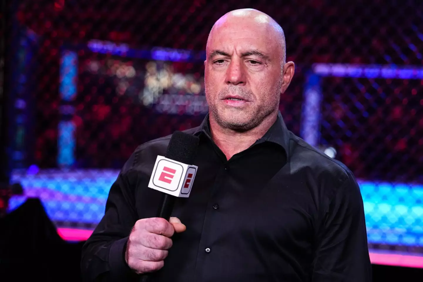 Joe Rogan pictured at UFC 309 (Image: Getty)