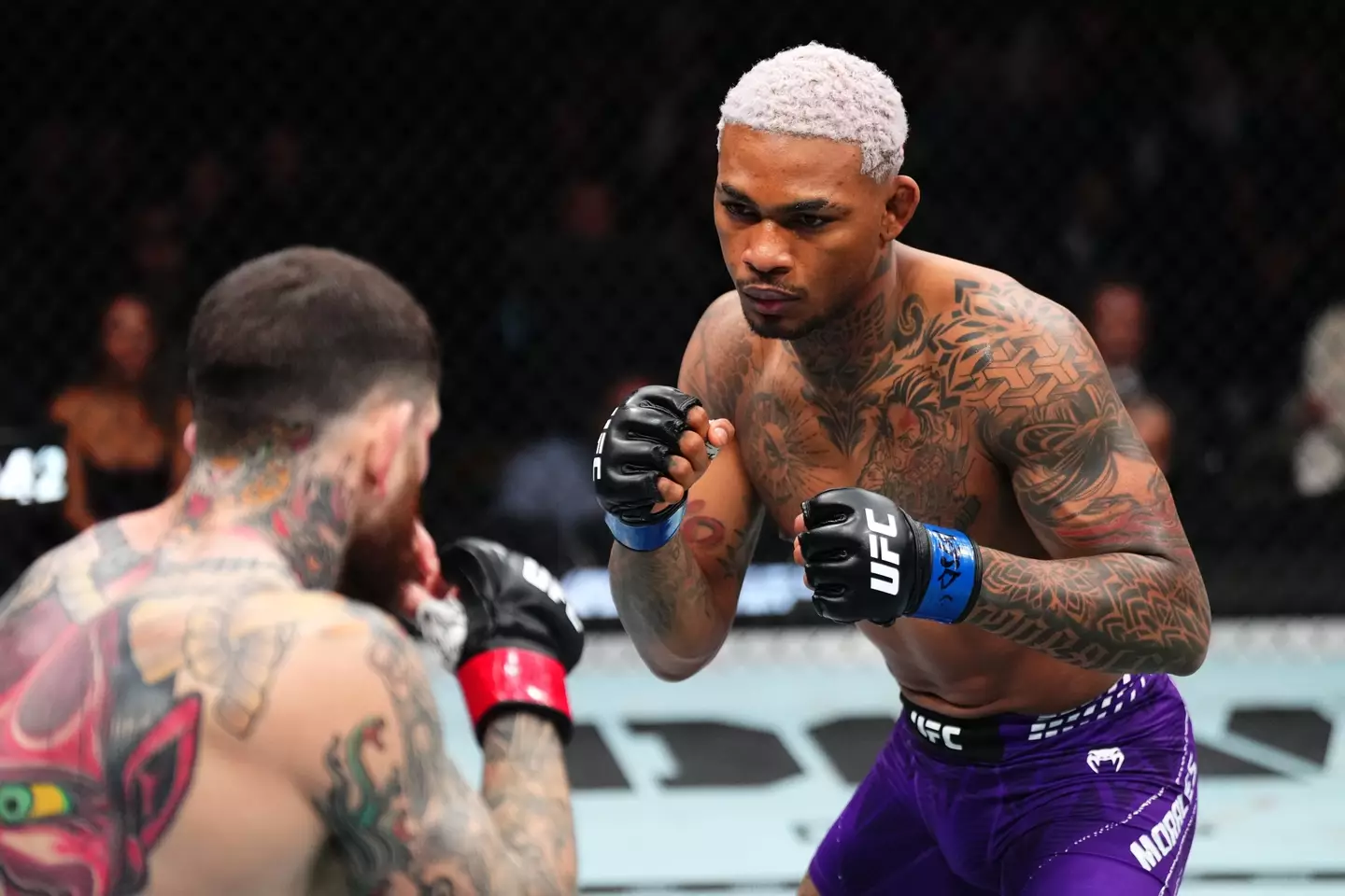 Michael Morales appears set to compete on the UFC White House card. Image: Getty