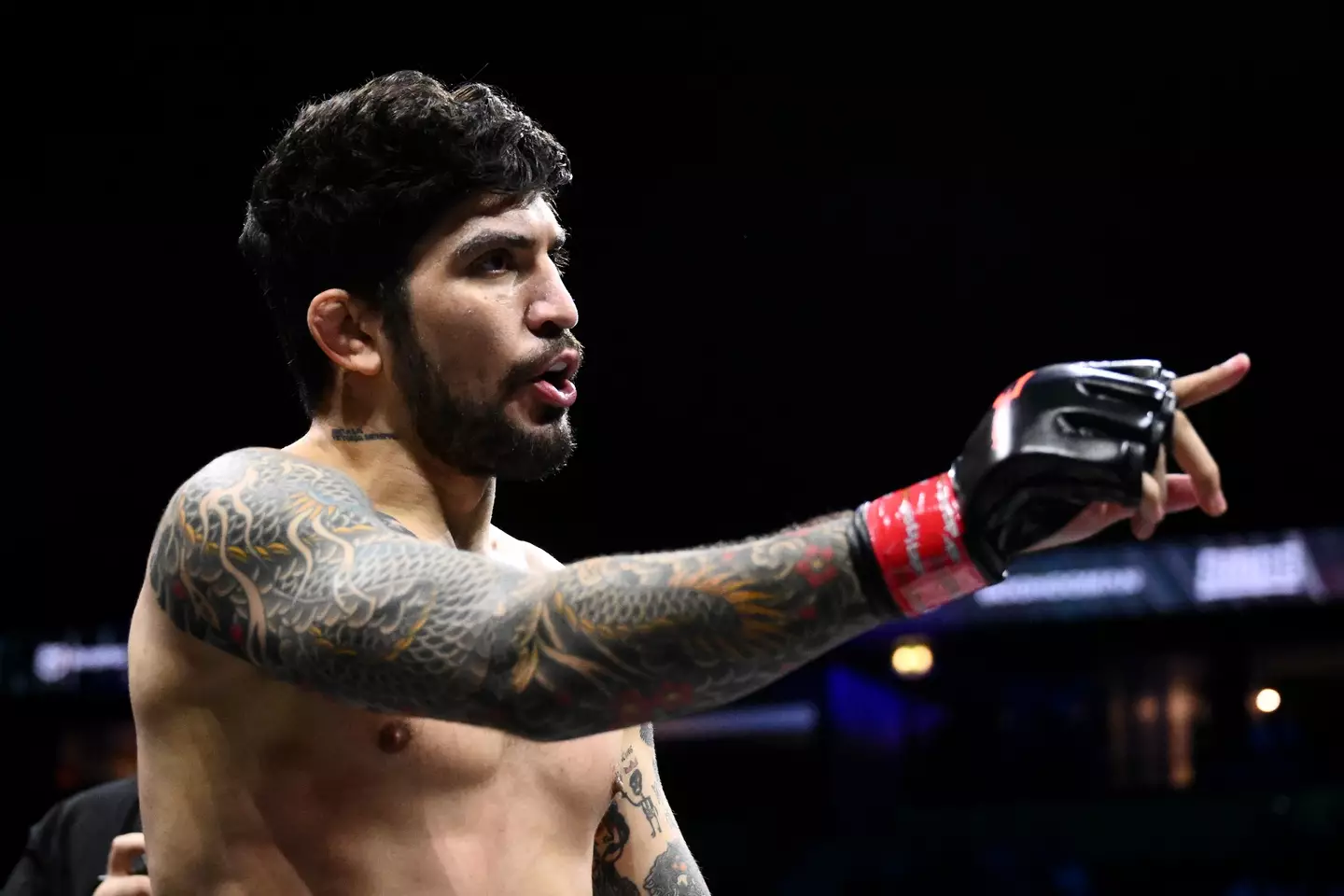 Dillon Danis. Image: Ben Roberts Photo / Stringer via Getty