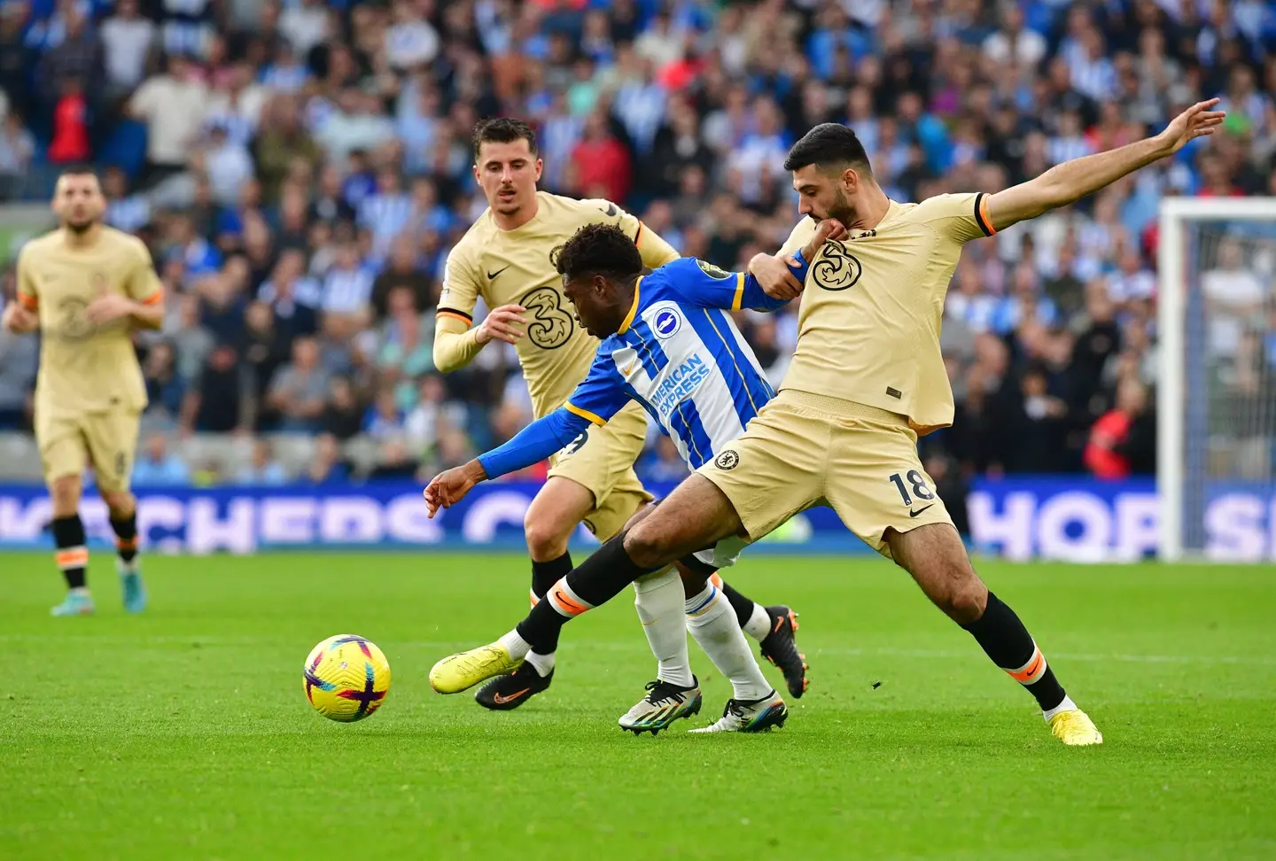 Tariq Lamptey of Brighton and Hove Albion turns away from Armando Broja of Chelsea during the Premier League match between Brighton & Hove Albion. (Alamy)
